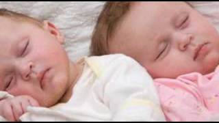 Celine Dion: Le Loup, La  Biche Et Le Chevalier