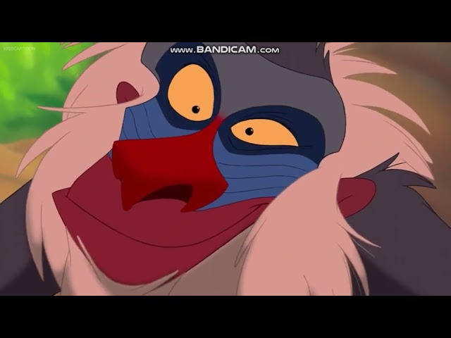 Vídeo relacionado con Retrato de Disney The Lion King Rafiki Chill Out Sudadera