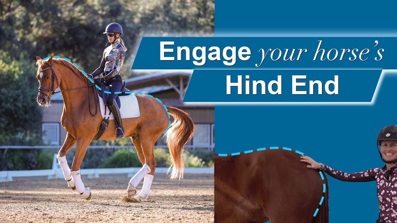 How to Engage Your Horse's Hind End!