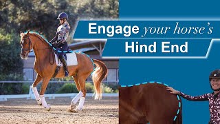 How to Engage Your Horse