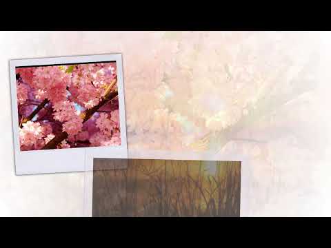 Duet  Radulović   Jovanović   Ej, čula jesam!