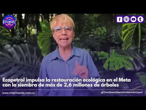Ecopetrol impulsa la restauración ecológica en el Meta con siembra de más de 2,6 millones de árboles
