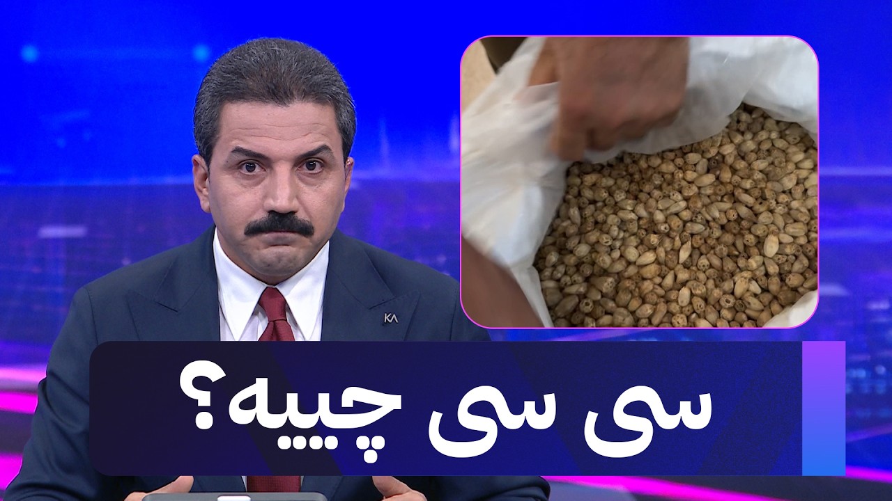 ڤیدیۆ | سی سی چییە؟
