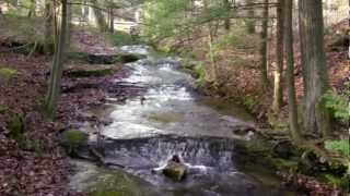 preview picture of video 'Lovely Falls Along Trail from Visitor's Center to Old Man's Cave Gorge, Hocking Hills, Logan, Ohio'
