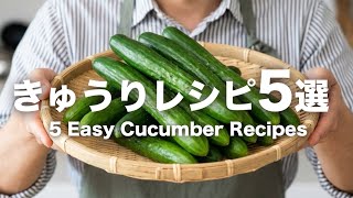 【簡単・節約副菜5選‼️】パパッと簡単きゅうりレシピ