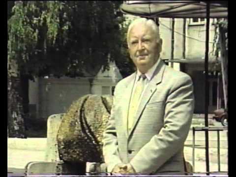 Goga Zafiroski ZAFIRO - Kalesh Anga