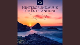 Yoga & Harmonie
