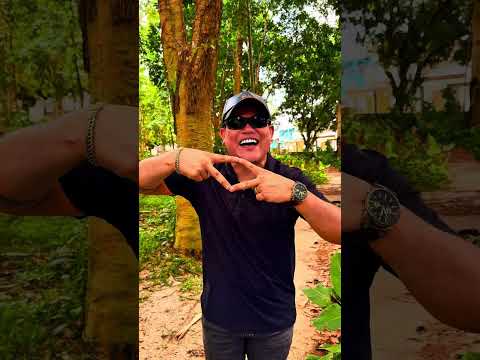 RUBI A NAVE DO SOM E CEDRAL NO MARANHÃO 15 DE FEVEREIRO CARNAVAL 2026