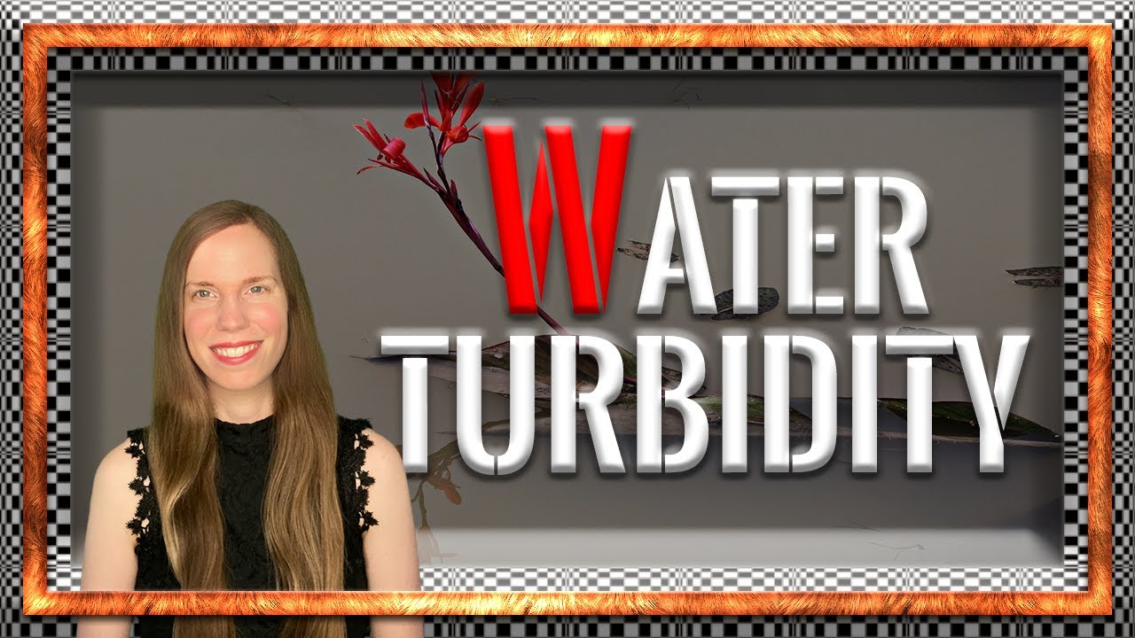 What does high turbidity mean?