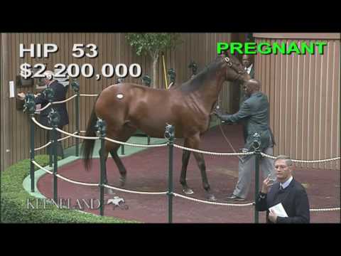 2016 November Sale – Hip 53, SECRET GESTURE (GB) brings $3.5 million
