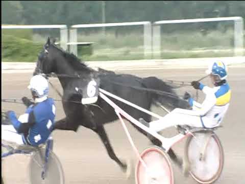 Trotto 12/05/2019 - 8ª corsa