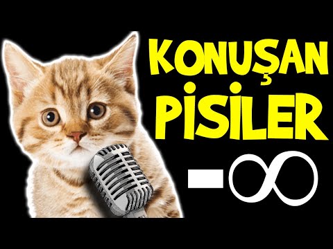 Konuşan Pisiler -∞ (Eksi Sonsuz) - En Komik Kedi Videoları