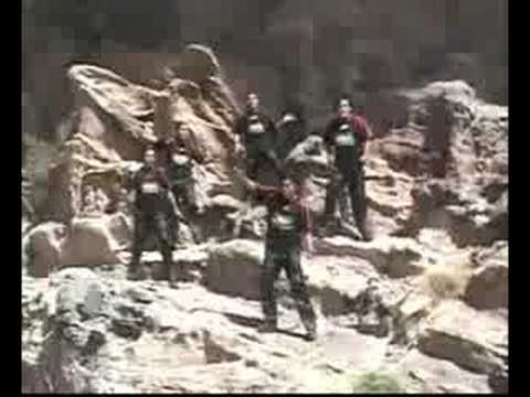 Grupo Amadeus - Linda Susana