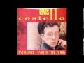 Elvis Costello - Everyday I Write The Book (Club Version)