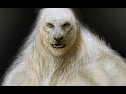 Yeti das Schneemonster Legende oder Wirklichkeit der Kryptozoologie