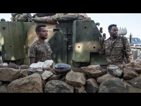 Top Tigrayan leaders killed by Ethiopian troops