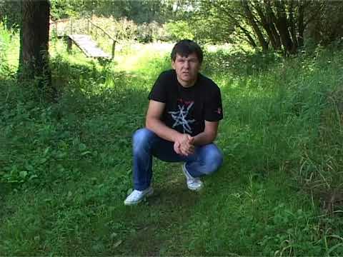 Zlatko Nedeljko Pepsi - Stora puca