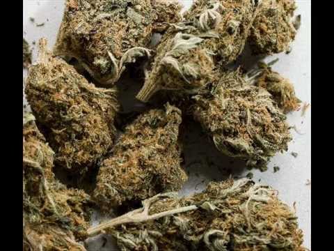 Karoona, Domas, KuniMC - 0.8