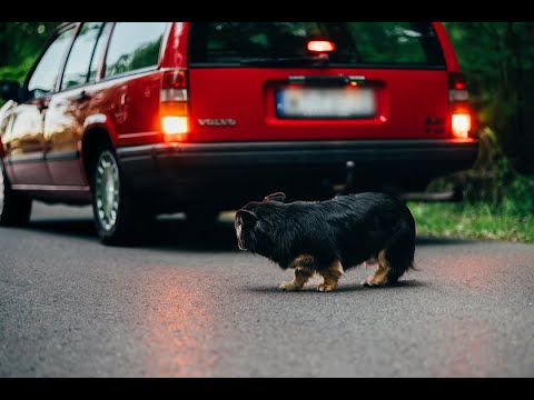 NIE PORZUCAJ, TEŻ MAM UCZUCIA!