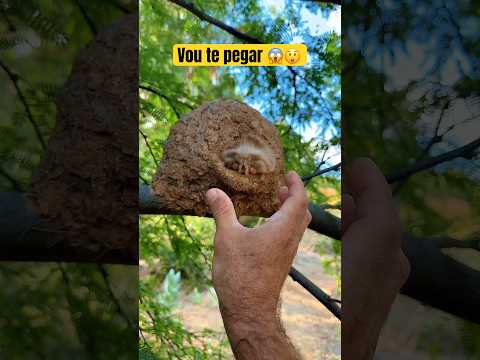 Agora te pego 😲😱
