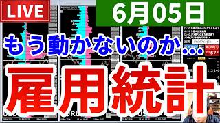 【もう動かないのか...運命の雇用統計＆今週の投資結果＆美術が得意な男のクイズ】2026年6月5日（金）FX実況生配信カニトレーダーチャンネル生放送1336回目