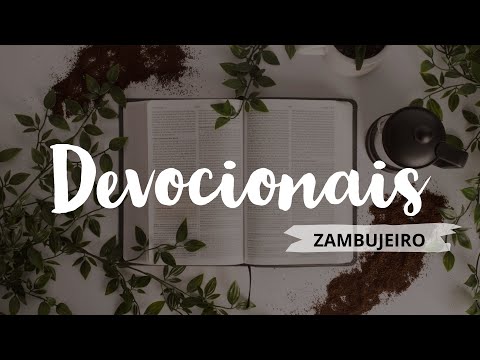 DEVOCIONAIS - ROMANOS 11 - O ZAMBUJEIRO