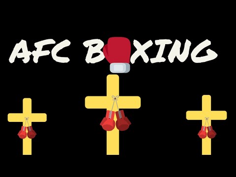 Liberlupus Boxing Glove Review by 12yrs boxing giant