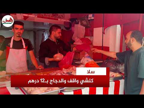 ركود تجاري حاد يهبط بأسعار الدجاج إلى مستويات قياسية ومهنيون يكشفون الأسباب