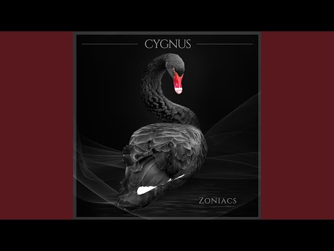 Cygnus