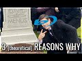 The Three Reasons Why DVD Menus Suck Now Theoretically