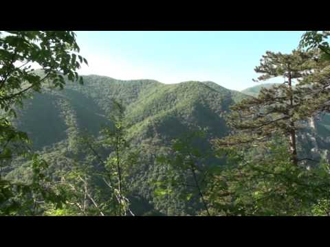 Trasee turistice Baile Herculane - Crucea Alba