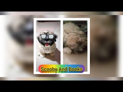 📚Our Puppy Scooby, Loves Reading Books📚