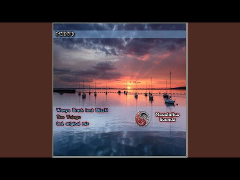 Bon Vojage (Original Mix)