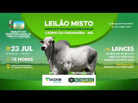 LEILÃO MISTO - SINDICATO DOS PRODUTORES RURAIS DE CARMO DO PARANAÍBA/MG - 23/07/2026
