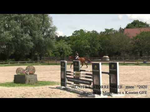 Unite Van de Torredreef