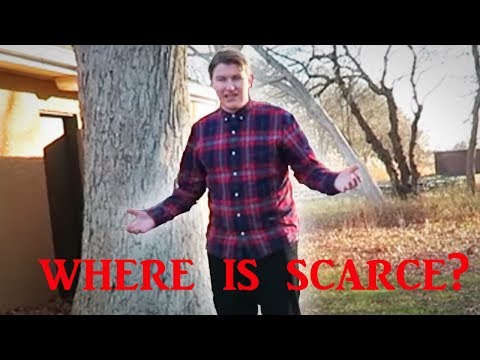 5 Youtubers Who Mysteriously Disappeared From YOUTUBE (WHERE IS SCARCE?)