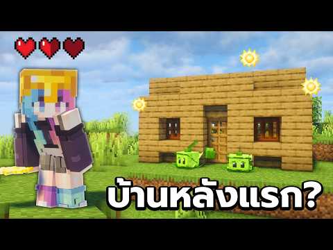 เอาชีวิตรอด Minecraft 26.2 และ Plant Vs Zombie