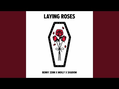 Laying Roses