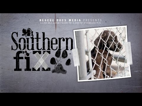A Southern Fix Trailer