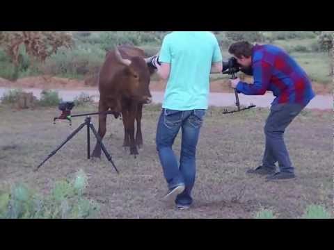 download lagu mp3 mp4 Desert Encounter, download lagu Desert Encounter gratis, unduh video klip Desert Encounter