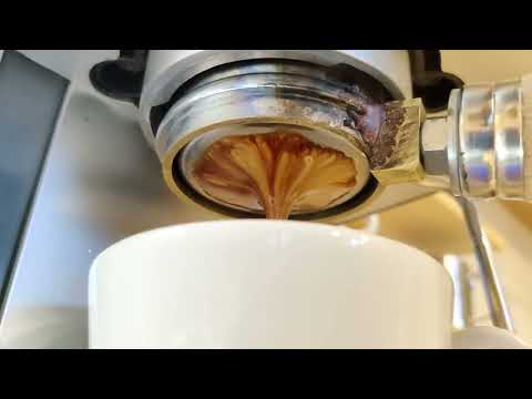 Gaggia Viva Prestige+Gaggia MD15+Home made botomless porta