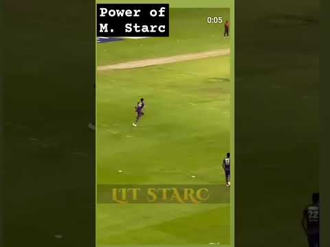 powerful 🔥yorker by Mitchell Starc 🏏#ipl2024 #mitchellstarc  #bowling #video