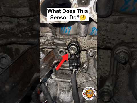 Why Cleaning Your Knock Sensor Is A Terrible Idea || Knock Sensor Cleaning #ytshorts #shorts #engine