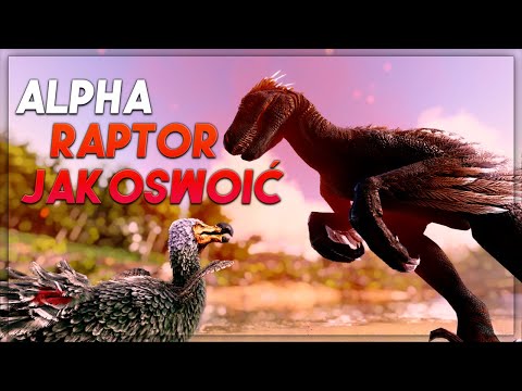 JAK OSWOIĆ ALFA RAPTORA? - Ark Survival Evolved Poradnik