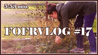 POSLEDNÍ DODĚLÁVKY NA ZAHRADĚ ,PODZIM V PLNÉM PROUDU