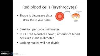 Introduction to Blood