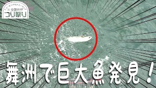 2022全国縦断チャリティ縦断つり祭りin舞洲