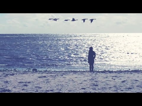 Sabine Stieger - Gstutzte Flügel