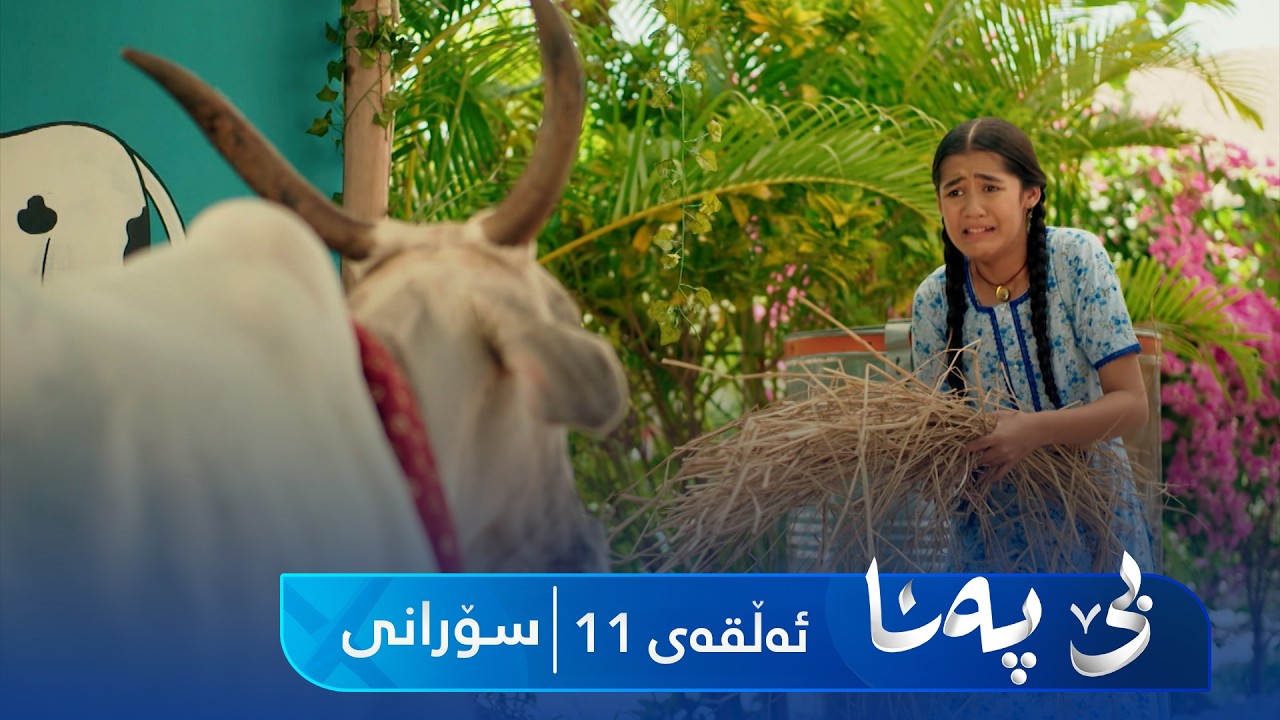 ڤیدیۆ | Be Pana - Sorani Alqay 11 | بێ پەنا - سۆرانی ئەڵقەی ١١