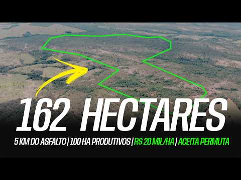 Fazenda 162 ha em Unaí-MG | 5 km do Asfalto | 100 ha Produtivos | R$ 20 Mil/ha | Aceita Permuta